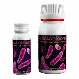 bacterias_bactobloom